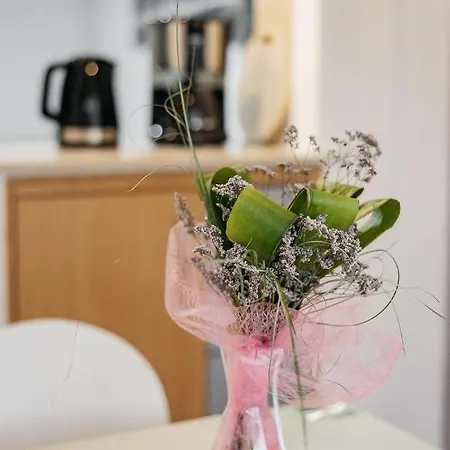 Appartement Sentvid